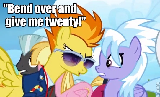 Size: 542x330 | Tagged: cloudchaser, derpibooru import, edit, edited screencap, image macro, meadow flower, safe, screencap, spitfire, starry eyes, sunglasses, thunderlane, wonderbolts academy