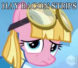 Size: 328x288 | Tagged: derpibooru import, epic pie time, hay bacon strips, image macro, meadow flower, safe, solo