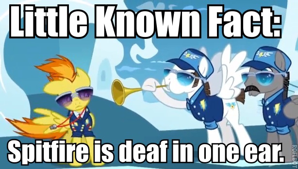 Size: 614x348 | Tagged: safe, derpibooru import, edit, edited screencap, screencap, fast clip, manerick, spitfire, whiplash, pegasus, pony, clothes, deaf, female, image macro, male, mare, musical instrument, stallion, sunglasses, text, trumpet, uniform, wonderbolts dress uniform