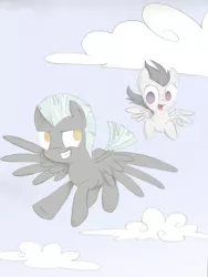 Size: 1600x2133 | Tagged: artist:estrill, brothers, cloud, cloudy, cute, flying, rumble, safe, thunderlane