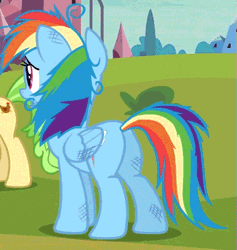 Size: 479x506 | Tagged: animated, chickadee, cropped, derpibooru import, games ponies play, messy mane, ms. peachbottom, panting, plot, rainbow dash, safe, screencap, solo focus