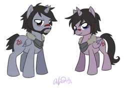 Size: 900x638 | Tagged: safe, artist:ziegedrachen, derpibooru import, ponified, alicorn, pony, crossover, dragon age, dragon age 2, hawke, mike hawke