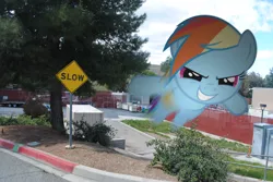 Size: 3872x2592 | Tagged: artist:utterlyludicrous, blurry, cloud, derpibooru import, first world anarchist, flying, fuck the police, irl, photo, ponies in real life, rainbow dash, safe, sign, slow, solo, street, tree, vector