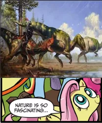 Size: 393x472 | Tagged: ceratosaurus, creationism, derpibooru import, dinosaur, exploitable meme, fantasy class, fluttershy, hadrosaur, idw, knight, knights riding crazy shit, meme, nature is so fascinating, safe, warrior