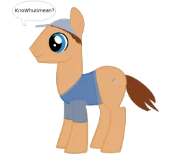 Size: 1280x1251 | Tagged: artist:bucky, chat bubble, derpibooru import, dialogue, ernest p. worrell, hat, jim varney, ponified, safe, simple background, solo, transparent background