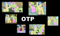 Size: 1260x748 | Tagged: daisy, daisygrape, derpibooru import, edit, edited screencap, exploitable meme, female, flower wishes, goldengrape, male, mare, otp, ponies standing next to each other, safe, screencap, shipping, sir colton vines iii, stallion, straight