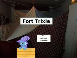 Size: 4608x3456 | Tagged: safe, artist:bucky, derpibooru import, trixie, pony, unicorn, absurd resolution, blanket fort, female, mare, ponies in real life, sign, solo