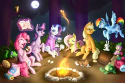 Size: 900x600 | Tagged: safe, artist:tzelly-el, derpibooru import, angel bunny, applejack, fluttershy, gummy, opalescence, owlowiscious, peewee, pinkie pie, rainbow dash, rarity, spike, tank, twilight sparkle, twilight sparkle (alicorn), winona, alicorn, pony, bathrobe, book, campfire, camping, clothes, female, gem, hair curlers, mane seven, mane six, mare, marshmallow, moon, robe, s'mores, toasted marshmallow, toasting