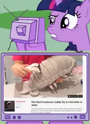 Size: 563x771 | Tagged: derpibooru import, exploitable meme, giant isopod, isopod, meme, safe, tv meme, twilight sparkle