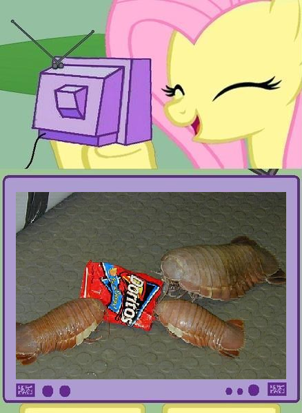 isopod doritos