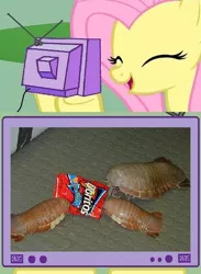 Size: 438x600 | Tagged: safe, derpibooru import, fluttershy, doritos, exploitable meme, giant isopod, meme, tv meme