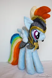 Size: 1770x2655 | Tagged: artist:masha05, commander hurricane, derpibooru import, irl, photo, plushie, rainbow dash, safe, solo