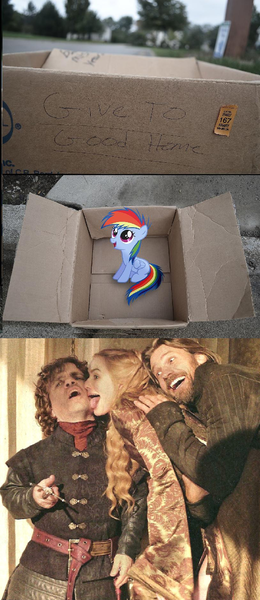 Size: 814x1875 | Tagged: cersei lannister, dashie meme, derpibooru import, evil people finding dash meme, exploitable meme, game of thrones, house lannister, jaime lannister, rainbow dash, safe, tyrion lannister