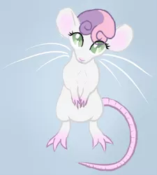 Size: 700x777 | Tagged: safe, artist:arrkhal, derpibooru import, sweetie belle, mouse, pony, rat, rodent, adorable face, bipedal, cute, looking at you, mousified, simple background, solo, species swap