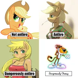 Size: 800x799 | Tagged: suggestive, artist:kevinsano, artist:shepherd0821, derpibooru import, applejack, anthro, abs, ambiguous facial structure, anthro chart, applebucking thighs, belly button, blushing, breasts, busty applejack, chart, chester cheetah, cleavage, clothes, cosplay, costume, cowboy hat, dangerously anthro, dangerously cheesy, dangerously furry, denim skirt, female, hand on hip, hat, mare, meme, meta, midriff, one-piece swimsuit, photo, skirt, socks, solo, solo female, standing, stetson, stockings, swimsuit, thigh highs, vulgar