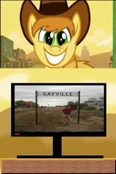 Size: 500x750 | Tagged: braeburn, derpibooru import, exploitable meme, gay, gayville, male, meme, obligatory pony, safe, sign, town, tv meme