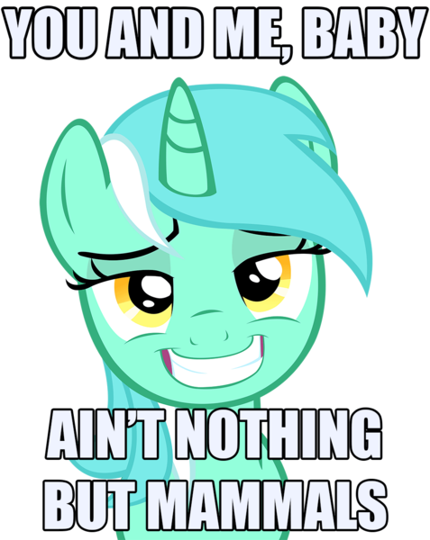 Size: 974x1226 | Tagged: safe, artist:hazama, artist:mrvvho, derpibooru import, lyra heartstrings, pony, unicorn, bedroom eyes, bloodhound gang, bronybait, caption, female, grin, image macro, lyrics, mare, simple background, solo, the bad touch, transparent background, vector