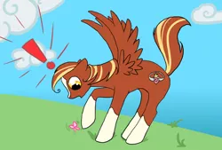 Size: 690x466 | Tagged: safe, artist:astonishingly, derpibooru import, oc, unofficial characters only, butterfly, pegasus, pony, beau, beaumont, exclamation point, solo