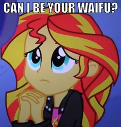 Size: 448x471 | Tagged: safe, derpibooru import, sunset shimmer, human, equestria girls, equestria girls (movie), begging, bronybait, cute, hilarious in hindsight, image macro, shimmerbetes, solo, waifu