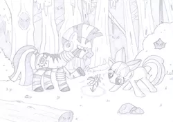 Size: 1716x1212 | Tagged: apple bloom, artist:super-josh, derpibooru import, everfree forest, flower, forest, grayscale, monochrome, safe, traditional art, zebra, zecora