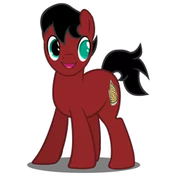 Size: 3000x3000 | Tagged: dead source, safe, artist:animatorphoenix, artist:metalbluephoenix, derpibooru import, oc, unofficial characters only, earth pony, pony, blind, solo