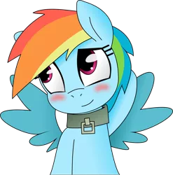 Size: 8911x9036 | Tagged: safe, artist:grumblepluck, artist:knoeki, derpibooru import, rainbow dash, pegasus, pony, absurd resolution, blushing, collar, cute, dashabetes, female, pet, pet play, pet-dash, simple background, solo, transparent background