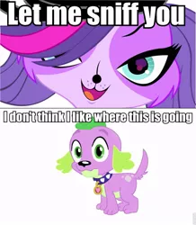 Size: 837x960 | Tagged: crossover, crossover shipping, dog, image macro, imminent sex, littlest pet shop, meme, safe, shipping, spike, spike the dog, zoespike, zoe trent