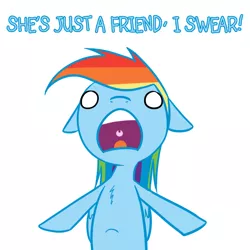 Size: 600x600 | Tagged: safe, artist:scherzo, derpibooru import, rainbow dash, chest fluff, rainbowfreakindash, solo