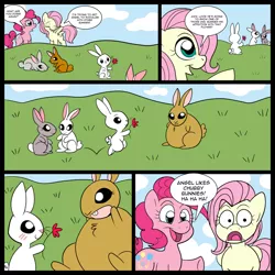 Size: 700x700 | Tagged: angel bunny, animal, artist:technicolor pie, chubby, chubby chaser, comic, derpibooru import, dialogue, fat, flower, fluttershy, pinkie pie, safe, shocked