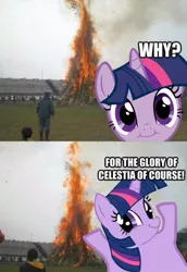 Size: 331x480 | Tagged: burning, cute, cute face, derpibooru import, for the glory of satan, image macro, kumamon, reaction image, safe, some mares just want to watch the world burn, twiface, twilight sparkle, tyrant sparkle, wrong neighborhood