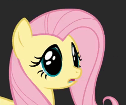 Size: 396x329 | Tagged: safe, artist:mixermike622, derpibooru import, fluttershy, pegasus, pony, animated, black background, brain dead, bust, dilated pupils, drool, eye shimmer, female, gif, mare, pink fluffy unicorns dancing on rainbows, portrait, simple background, solo, thousand yard stare, youtube link