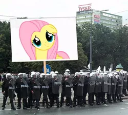 Size: 534x479 | Tagged: derpibooru import, fluttershy, human, irl, irl human, march, photo, poland, police, polish, safe