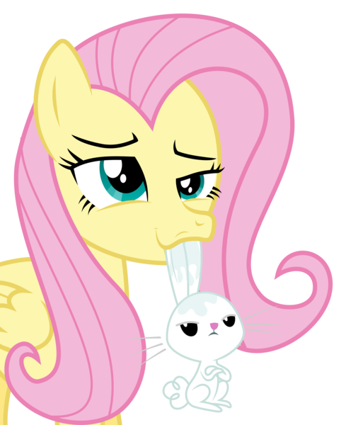 Size: 4822x6000 | Tagged: absurd resolution, angel bunny, artist:masem, derpibooru import, drool, face, faic, fluttershy, mouth hold, safe, simple background, transparent background, vector