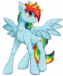 Size: 1280x1536 | Tagged: artist:zokkili, derpibooru import, rainbow dash, safe, solo