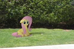 Size: 3872x2592 | Tagged: artist:utterlyludicrous, bush, derpibooru import, fluttershy, outdoors, ponies in real life, safe, shadow, solo, vector