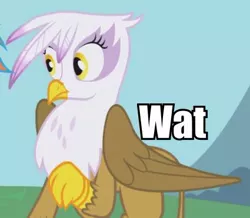 Size: 425x371 | Tagged: safe, derpibooru import, gilda, gryphon, female, image, image macro, jpeg, outdoors, raised leg, reaction image, solo, surprised, wat