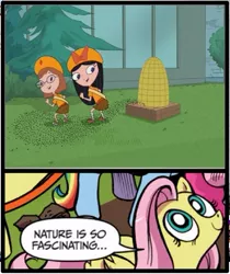 Size: 397x473 | Tagged: bee, derpibooru import, exploitable meme, fireside girls, fluttershy, meme, nature is so fascinating, obligatory pony, phineas and ferb, suggestive