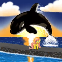 Size: 1200x1200 | Tagged: artist:starorca, derpibooru import, fluttershy, free willy, jumping, ocean, orca, parody, safe, sunset, water