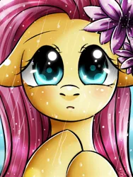 Size: 1050x1400 | Tagged: artist:princesssilverglow, derpibooru import, flower, fluttershy, rain, safe, solo