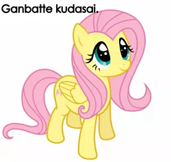 Size: 1600x1510 | Tagged: artist needed, safe, derpibooru import, edit, fluttershy, pegasus, pony, dialogue, female, folded wings, gratuitous japanese, japanese, looking up, mare, please do your best, simple background, smiling, solo, standing, three quarter view, vector, white background, wings
