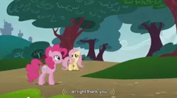 Size: 854x475 | Tagged: derpibooru import, dragonshy, fluttershy, pinkie pie, safe, screencap, youtube caption