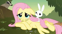 Size: 640x355 | Tagged: angel bunny, badger, derpibooru import, fluttershy, safe, screencap, squirrel, youtube caption