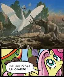 Size: 392x472 | Tagged: cygnus falconeri, derpibooru import, dwarf mammoth, exploitable meme, fluttershy, giant swan, giant tortoise, idw, mammoth, meme, nature is so fascinating, not salmon, obligatory pony, role reversal, safe, swan, tortoise, wtf