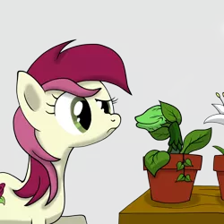 Size: 2048x2048 | Tagged: safe, artist:that1andonly, derpibooru import, roseluck, earth pony, pony, audrey 2, confused, crossover, female, little shop of horrors, mare, plant, raised eyebrow, smiling, solo