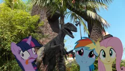 Size: 1024x577 | Tagged: safe, derpibooru import, fluttershy, rainbow dash, twilight sparkle, dinosaur, velociraptor, derp, jurassic park, ponies in real life, tongue out, universal studios