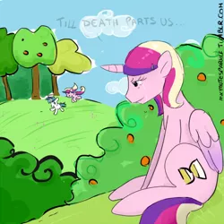 Size: 500x500 | Tagged: artist:askmutesparkle, derpibooru import, princess cadance, safe, shining armor, swapped cutie marks, time lady