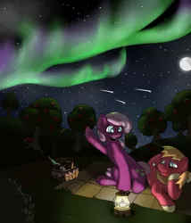 Size: 1800x2100 | Tagged: safe, artist:discordshy, artist:yungdissy, derpibooru import, big macintosh, cheerilee, earth pony, pony, apple tree, aurora borealis, blanket, cheerimac, love, male, picnic, picnic basket, picnic blanket, shipping, stallion, straight, sweet apple acres, tree, wine