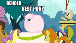 Size: 960x540 | Tagged: behold, best pony, bon bon, caramel, carrot top, derpibooru import, edit, edited screencap, forced meme, golden harvest, lemon hearts, mayor mare, meme, oc, oc:fluffle puff, parasol, safe, screencap, sweetie drops, the last roundup