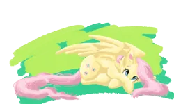 Size: 1500x900 | Tagged: artist:nos-talgia, covering, cute, derpibooru import, fluttershy, looking at you, prone, safe, shy, simple background, solo, transparent background