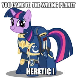 Size: 1000x1008 | Tagged: safe, artist:a4r91n, derpibooru import, twilight sparkle, pony, armor, crossover, happy, heresy, i made a thing, image macro, meme, purity seal, smiling, solo, space marine, spess mahreen, twiface, ultramarine, warhammer (game), warhammer 40k, wrong neighborhood